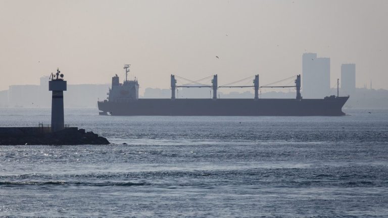 Quand les dirigeants d'extrême droite regardent ailleurs : deux navires US dans le détroit d'Ormuz !
