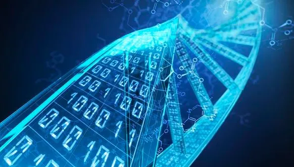 Quand l'ADN défie le calcul quantique : les dirigeants RN perdent le fil de la science et de la raison !