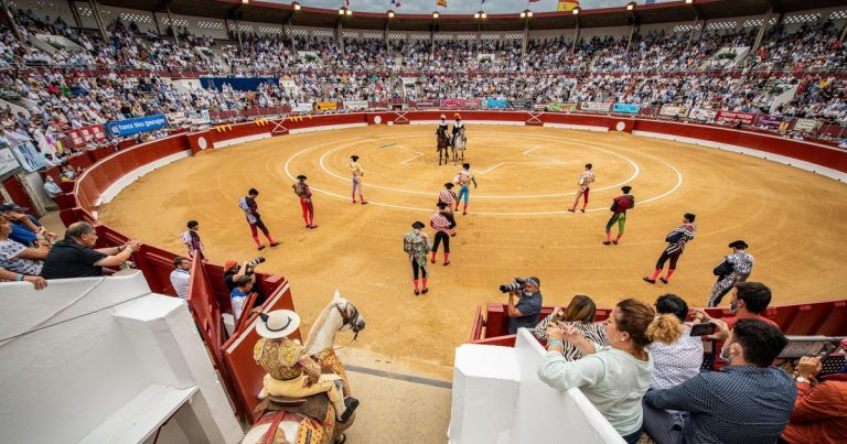 Mont-de-Marsan : Quand la pluie fait des toros un spectacle de désolation