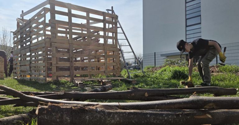 Le verger du collège Mentel : un jardin d&rsquo;éveil ou un potager de promesses non tenues ?