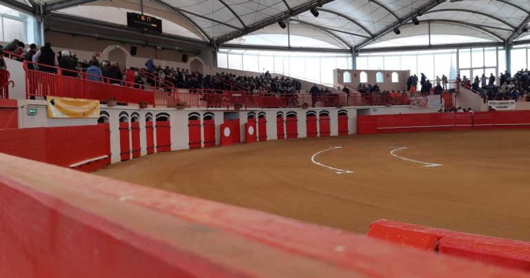 Corrida à Gamarde : Quand l&rsquo;art de la tauromachie se heurte à la réalité