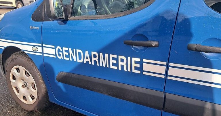 Quand la vigilance fait des vagues : un enfant sauvé, mais à quel prix ?