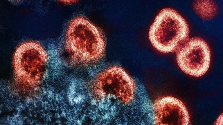 VIH et cancer : un patient norvégien guéri grâce à un coup de chance génétique