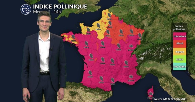 Quand le ciel est bleu, les allergies s’envolent : un paradoxe insupportable
