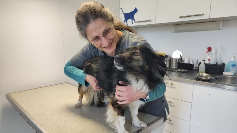 Quand la médecine vétérinaire devient un refuge : l’histoire d’une vétérinaire face au cancer