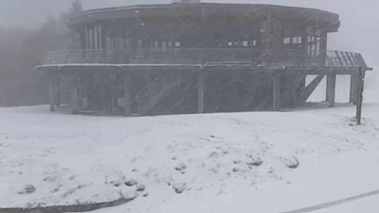 Neige en avril : un caprice climatique ou une farce gouvernementale ?