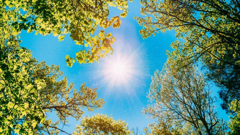 La Brévine : Quand le climat joue à cache-cache avec nos nerfs