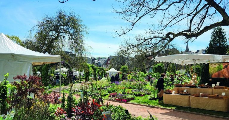 Honfleur : Quand le Jardinage Devient un Spectacle de Contradictions
