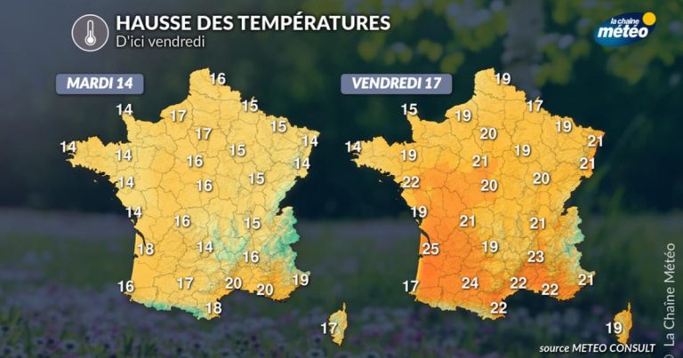 Une Douceur Printanière : Le Paradoxe Climatique de Notre Temps