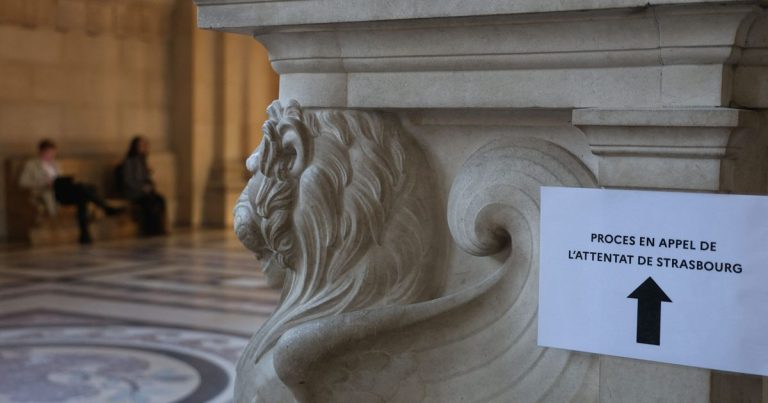 <p><strong>Strasbourg : 30 ans de réclusion pour Audrey Mondheji, l&rsquo;absurde châtiment d&rsquo;un drame inacceptable !</strong></p>