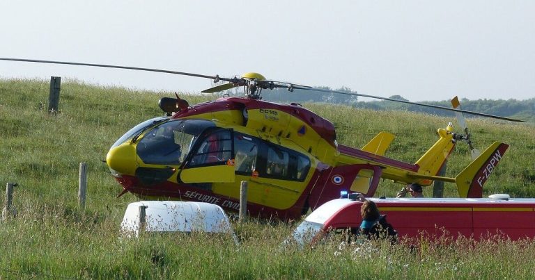 Un enfant mordu par un chien : un drame qui soulève des questions