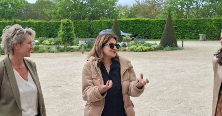 Stade Malherbe Caen : Entre espoirs déchus et promesses creuses