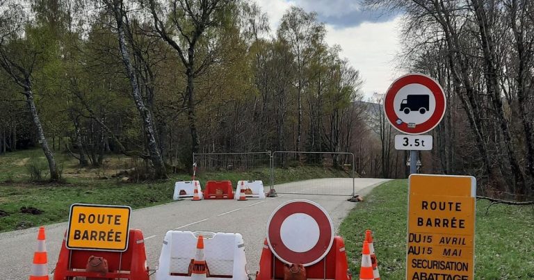 Quand la sécurité routière rime avec abattage : une absurdité bien orchestrée