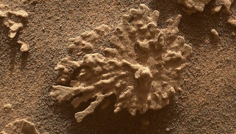 Mars : Quand les Rochers Évoquent des Coraux, la Science Flirte avec l&rsquo;Imaginaire