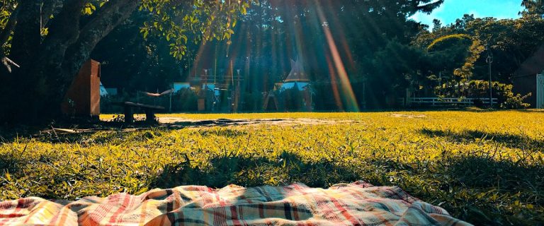 Montpellier : Un Dimanche de Contradictions et de Futilités