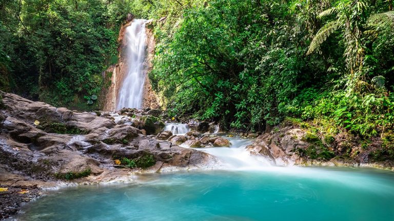 Costa Rica : Paradoxe d&rsquo;un Paradis Écologique en Décomposition