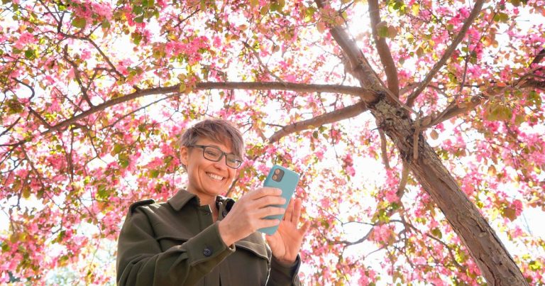 Événements en Bretagne : Entre Passion et Incohérence