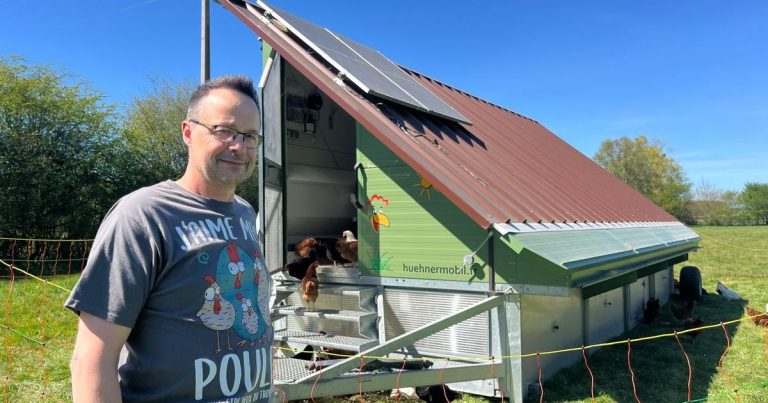 Quand l&rsquo;innovation se cache derrière une simple cage à poules