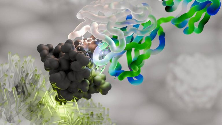 Keytruda : La Révolution Médicale ou le Grand Escroc ?