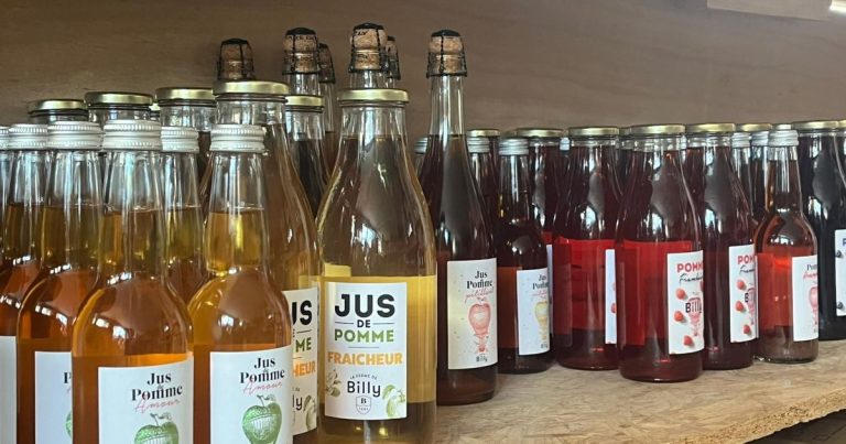 La Filière Cidricole Normande en Quête de l&rsquo;IGP : Une Protection Nécessaire