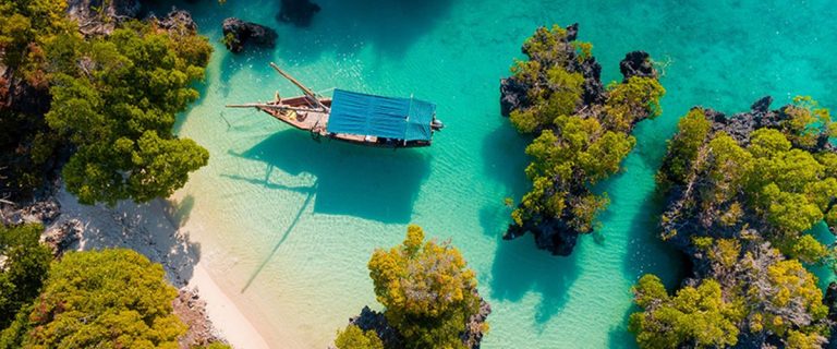 Zanzibar : Un Paradis à Explorer