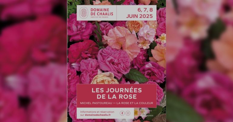Les Journées de la Rose : Un Événement Floral Incontournable