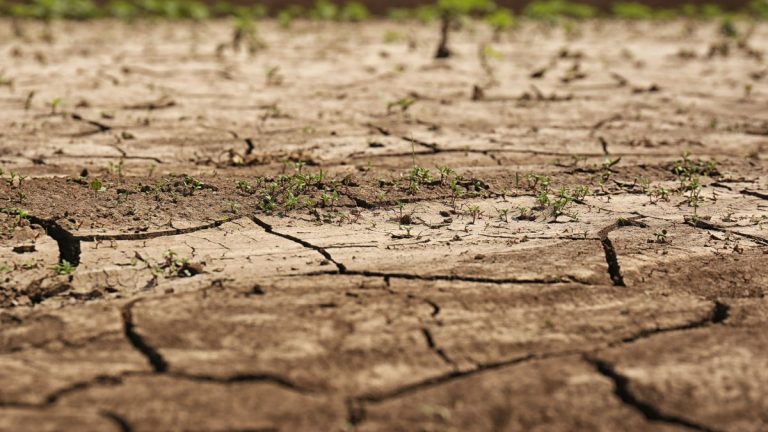 Alerte Sécheresse en Guadeloupe : Une Situation Critique