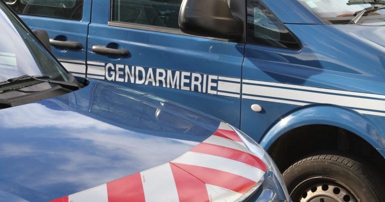 Réseau de vols de matériel de chantier démantelé : quelles conséquences pour le Haut-Rhin et la Haute-Saône ?