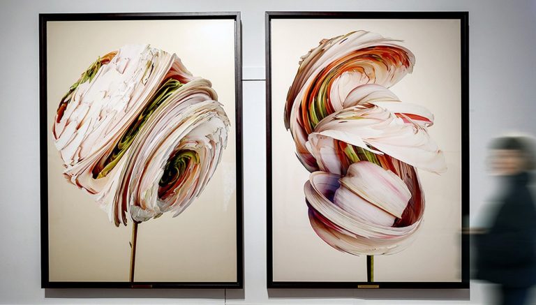 Exploration de la Flora Incognita : Quand l&rsquo;Art et la Science se Rencontrent