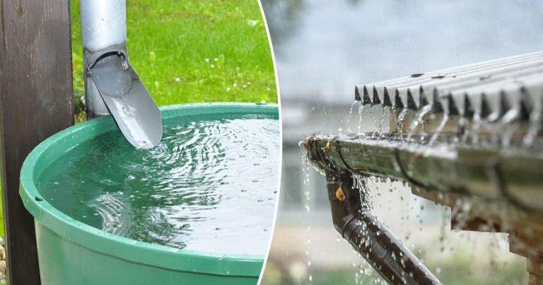 La Maison de l&rsquo;Eau et de la Méditerranée : Un Voyage au Coeur des Ressources Hydriques