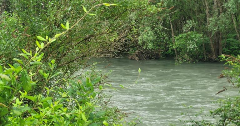 Tragédie à Denguin : un adolescent de 16 ans se noie dans le Gave de Pau, quelles leçons tirer ?