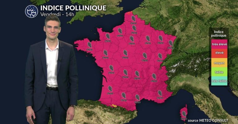 Pollens et allergies : indice pollinique maximal ce vendredi sur l&rsquo;ensemble du territoire.