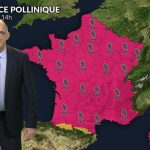 Risque très élevé d&rsquo;allergies aux pollens de chêne dans le sud-ouest, orages en soirée.