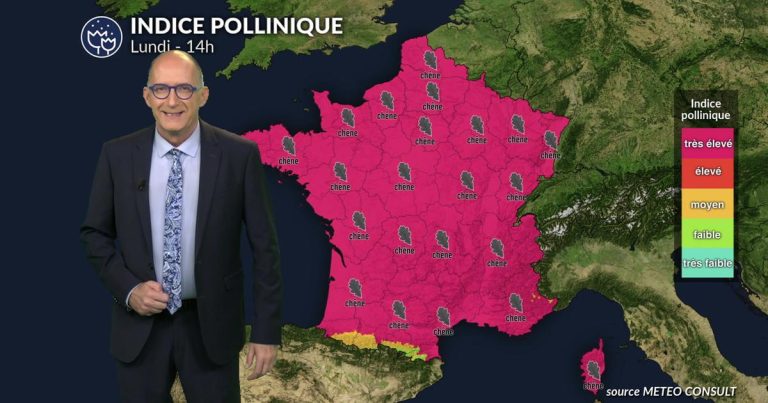 Pollens d&rsquo;arbres : risque élevé d&rsquo;allergies au chêne dans le sud-ouest, orages en soirée.