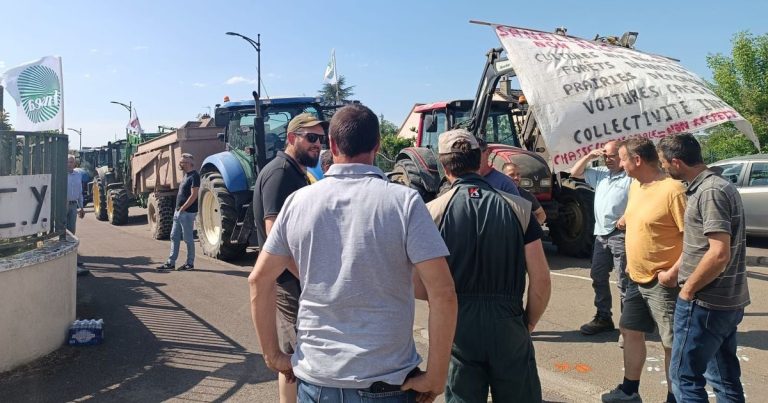 Les agriculteurs de l&rsquo;Yonne signalent des dégâts croissants causés par les sangliers.