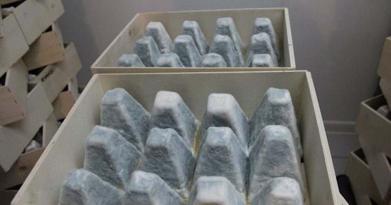 Un incendie détruit une fromagerie à Veuil, entraînant des pertes importantes pour le secteur local.