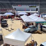 Le salon biterrois de l’agriculture présente la tonte des moutons et des surprises pour les visiteurs.