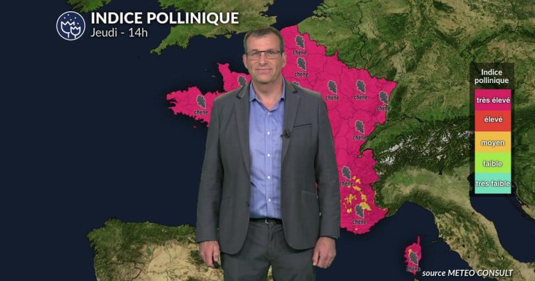 Pollens : fortes concentrations dans plusieurs régions, orages attendus au sud-ouest.