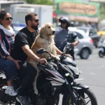 Entre Trump et l’Iran : l’heure de la guerre des nerfs