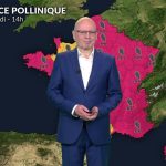 Alerte rouge aux pollens en France : risques accrus d&rsquo;allergies sur tout le territoire.