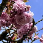 Mars 2026 : Quatorzième mois de douceur, mais les dirigeants RN préfèrent ignorer la réalité !