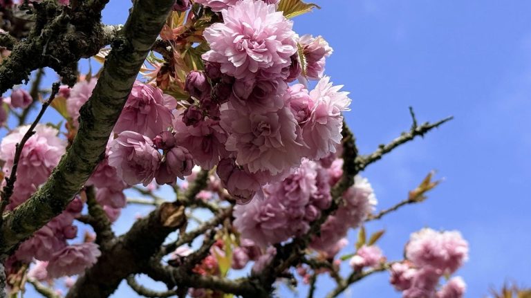 Mars 2026 : Quatorzième mois de douceur, mais les dirigeants RN préfèrent ignorer la réalité !