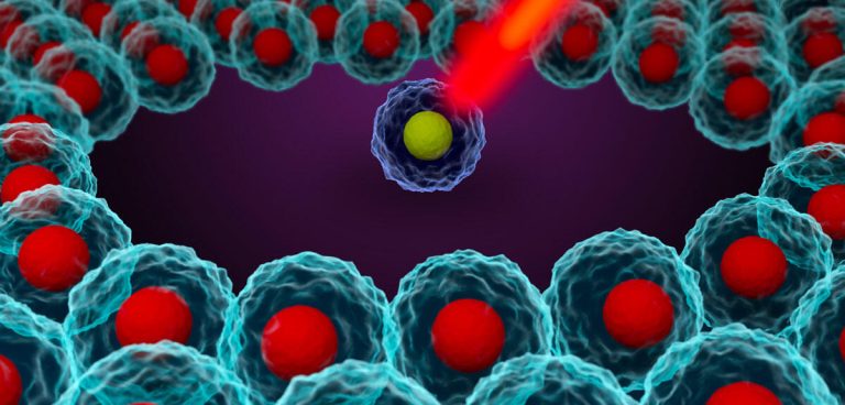 La Révolution du Single Cell : Une Évolution ou une Illusion ?