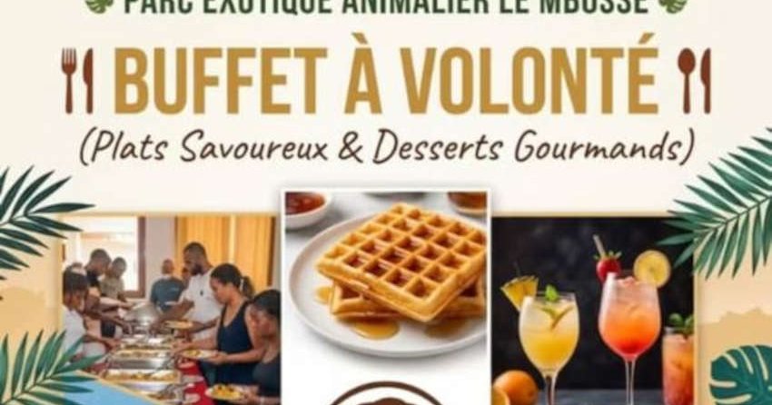 Buffet à volonté au Parc animalier Le Mbossé : quand les dirigeants RN se régalent d'absurdités sénégalaises !
