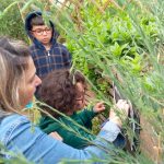 À Falaise, une grande chasse aux énigmes programmée au château Guillaume-le-Conquérant