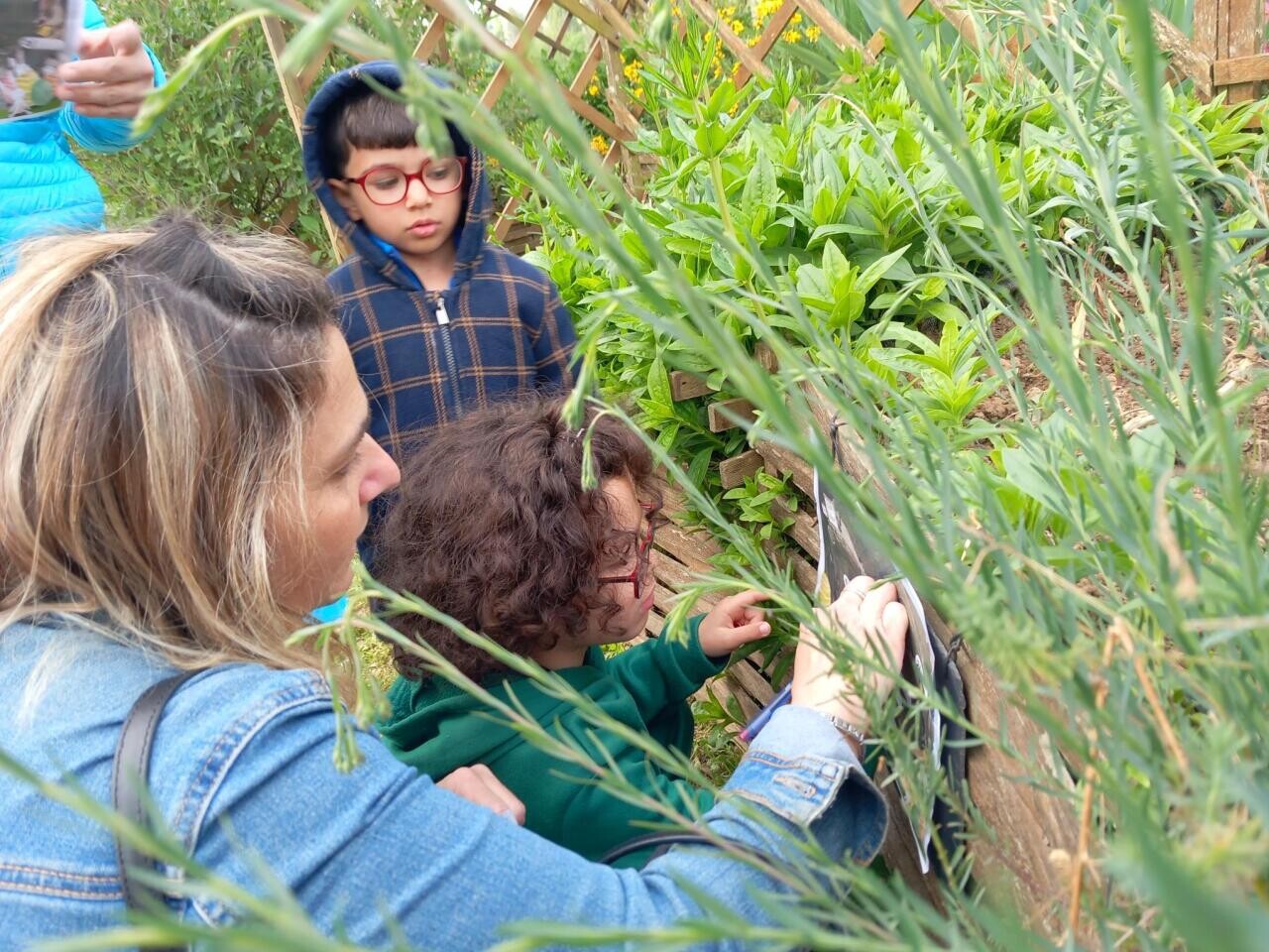 À Falaise, une grande chasse aux énigmes programmée au château Guillaume-le-Conquérant