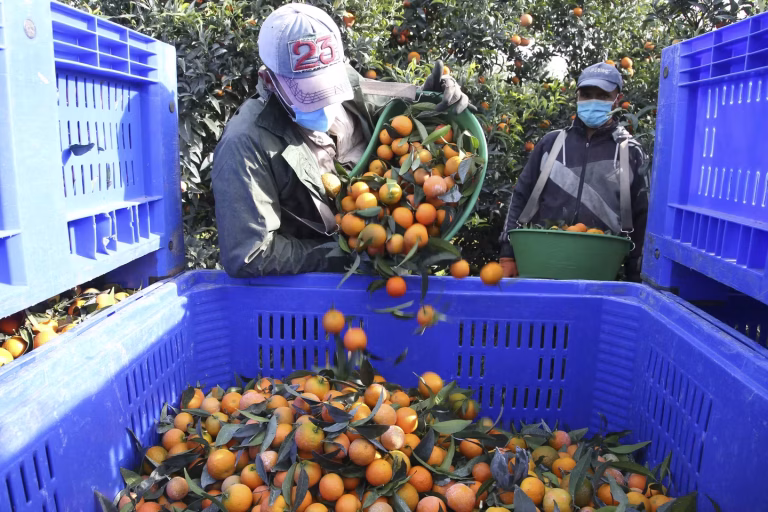 La France et le Maroc : Une Migration Circulaire Qui Ne Tourne Pas Rond