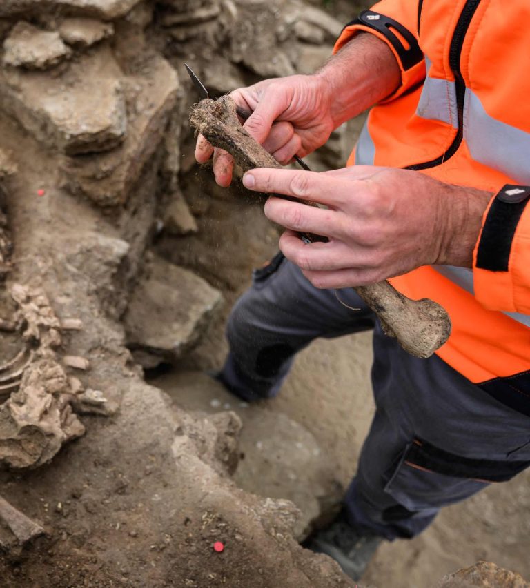 Un chien vieux de 16 000 ans retrouvé en Turquie : les dirigeants conservateurs face à l'absurde !