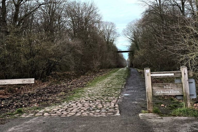 Paris-Roubaix 2026. Dans l’Enfer du Nord, Arenberg fait trembler les coureurs cyclistes depuis 1968