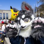 Logo de l'application